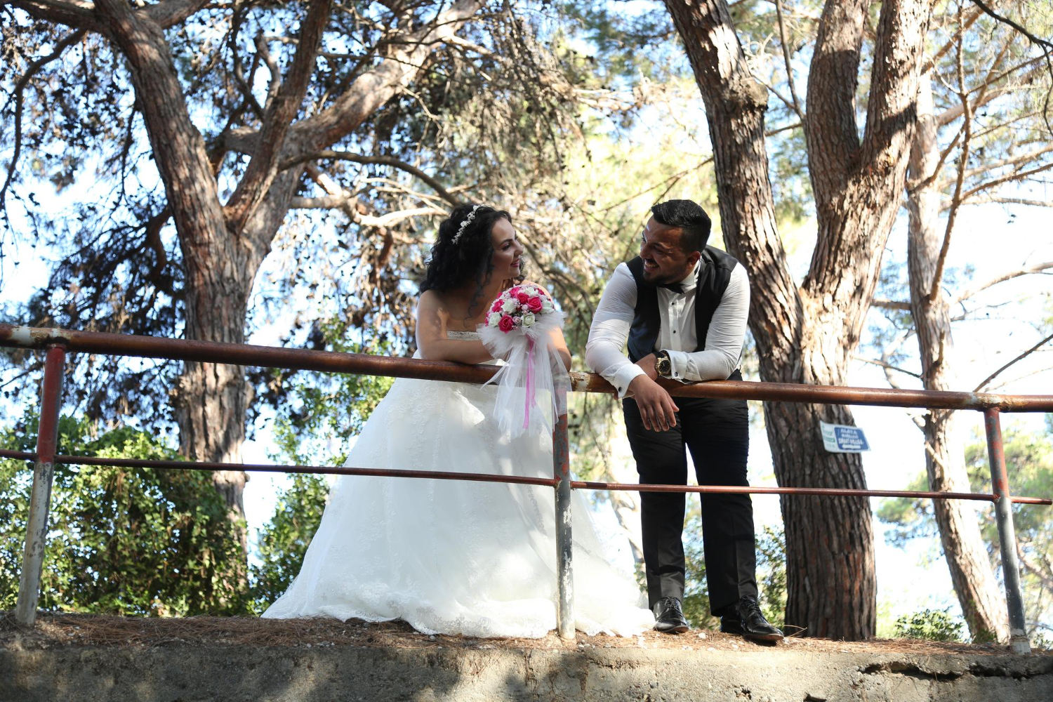 lapeng bush website pics (26)
